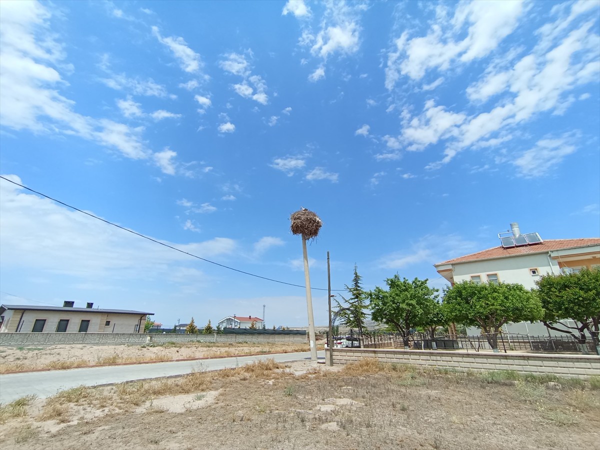 Nevşehir'in Gülşehir ilçesinde elektrik direği yenileme çalışmaları yapan Meram Elektrik Dağıtım...