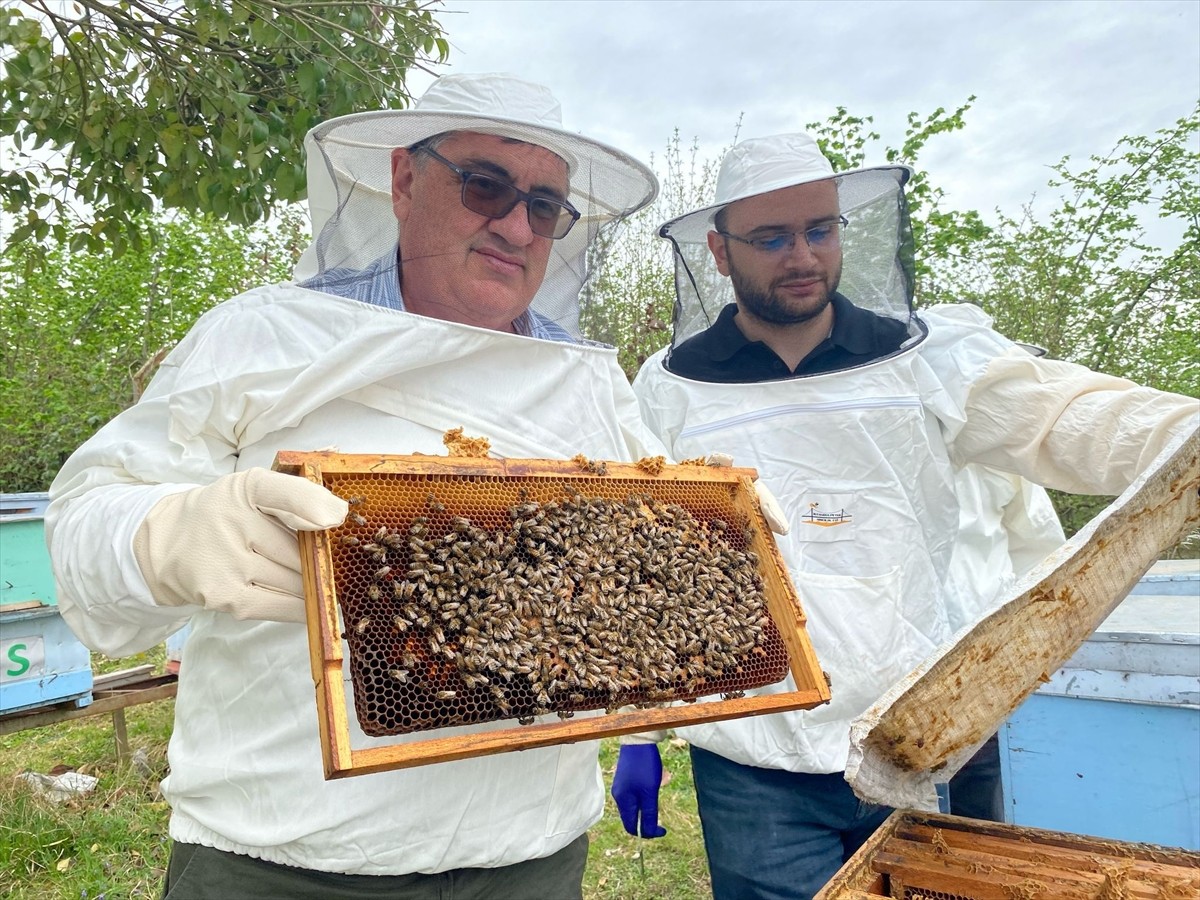 Ordu Arıcılık Araştırma Enstitüsü'nde birçok ülkeden belirli periyotlarla gelen bal üreticilerine...