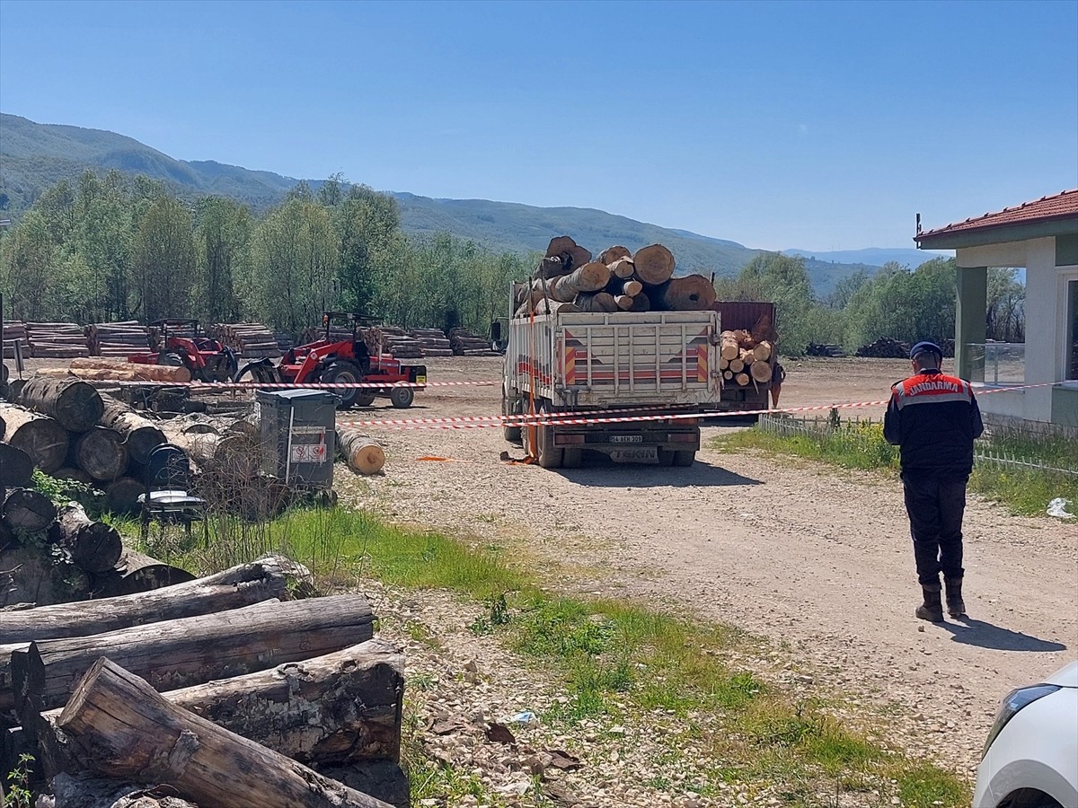 Sakarya'nın Akyazı ilçesinde üzerine tomruk devrilen işçi, hayatını kaybetti.