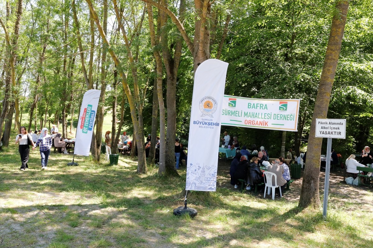 Samsun'da düzenlenen "8. Samsun Yöresel Ot Yemekleri Festivali" başladı. Ondokuz Mayıs...