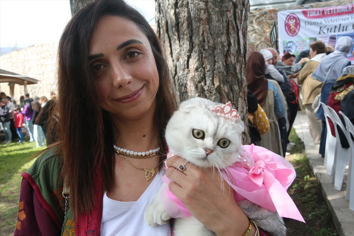 Tokat'ta, Dünya Veteriner Hekimler Günü kapsamında kedi güzellik yarışması düzenlendi. Tokat...