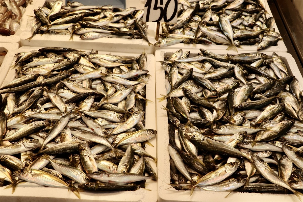 Trabzon'da çeşitliliğin bol olduğu balıkçı tezgahlarında en fazla mezgit ve istavrit rağbet...