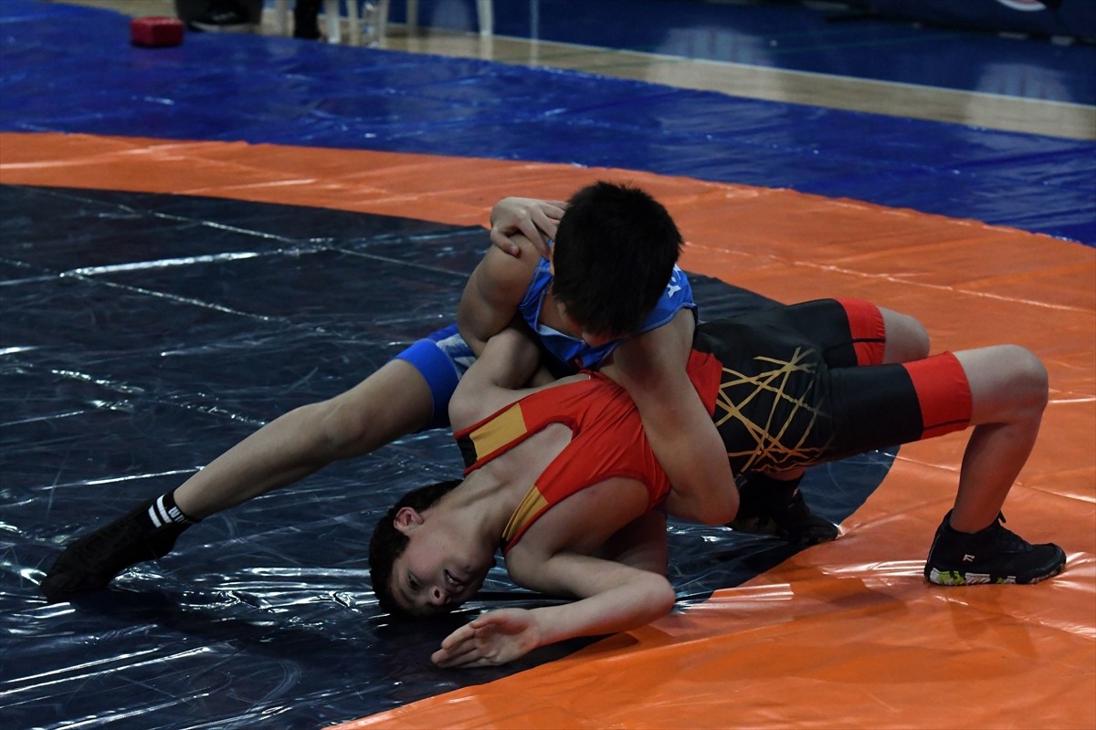 Türkiye Güreş Federasyonu, Gençlik ve Spor Bakanlığı Okul Sporları Federasyonu ve Milli Eğitim...