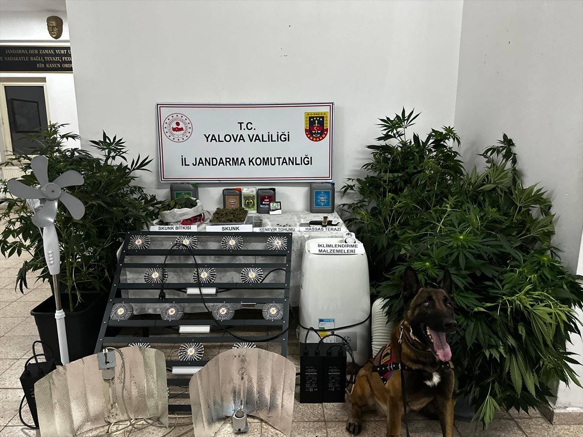 Yalova'nın Çınarcık ilçesinde evine kurduğu düzenekle uyuşturucu madde üreten zanlı tutuklandı....