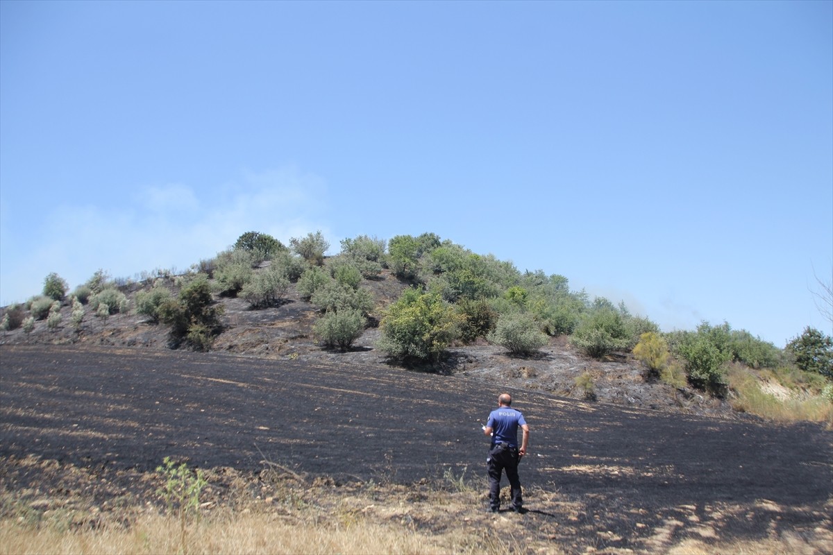Antalya'nın Serik ilçesinde çıkan anız ve zeytinlik yangını söndürüldü. İtfaiye ekiplerinin...