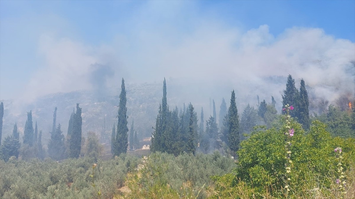 Bursa'da tarım alanında çıkan yangının kontrol altına alınması için çalışma...
