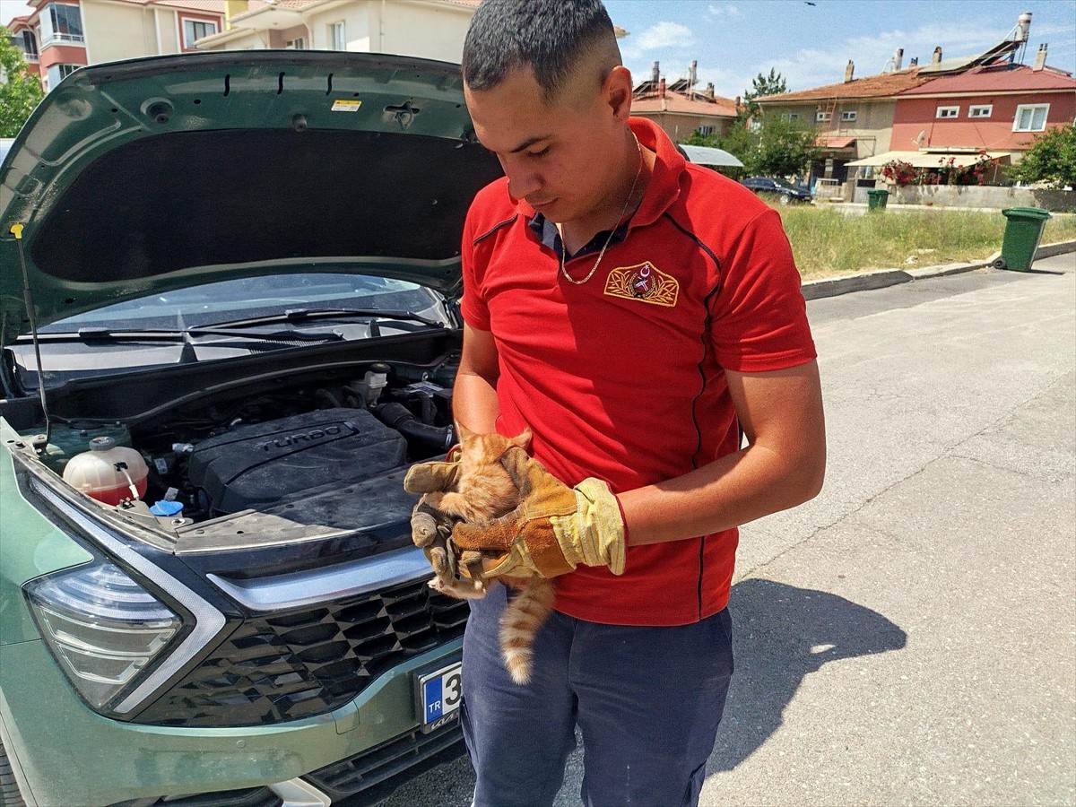 Erzincan'da otomobilin motor bölümüne sıkışan 2 kedi yavrusu itfaiye ekiplerince kurtarıldı.
