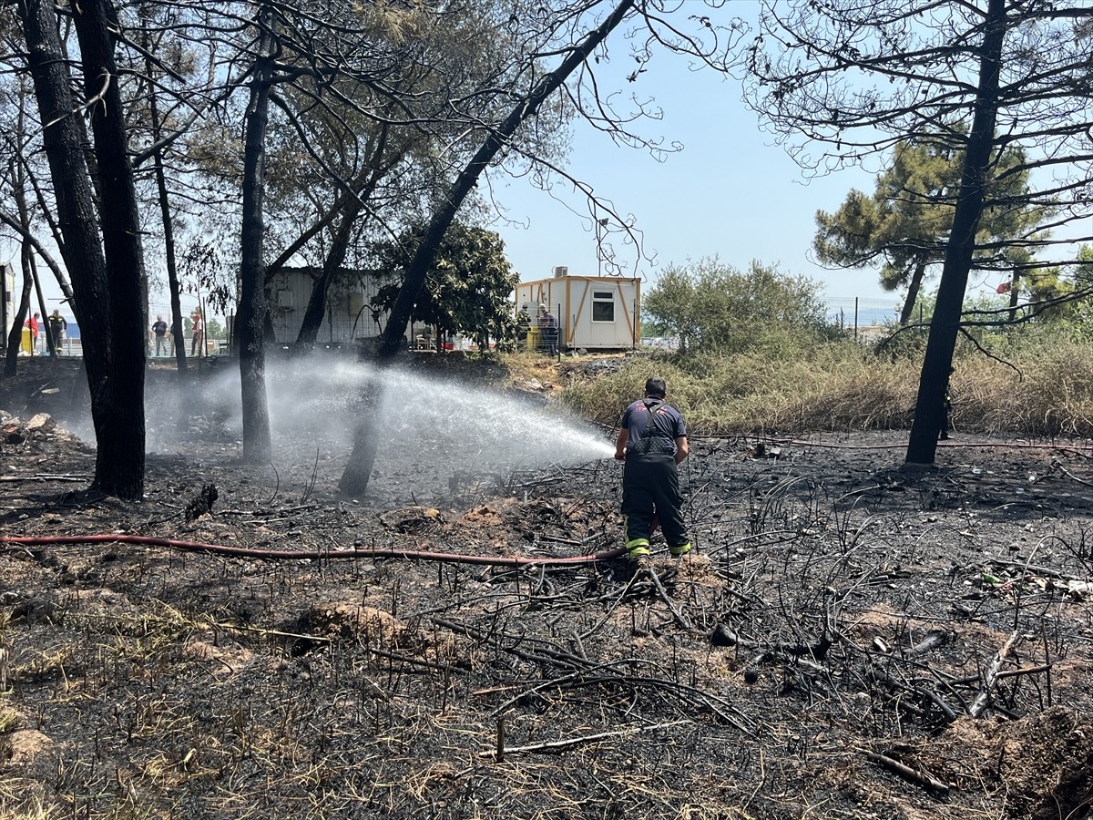 Kocaeli'nin Derince ilçesinde ağaçlık ve otluk alanda çıkan yangında 4 kişi dumandan etkilendi....