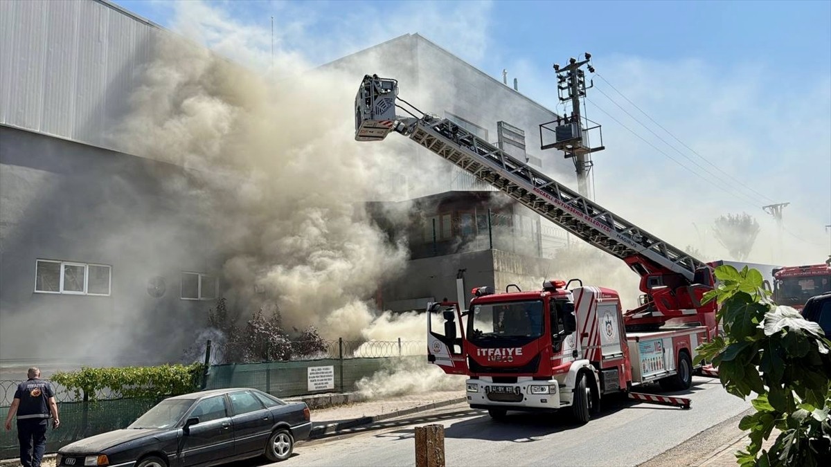 Kocaeli'nin Gebze ilçesinde marketin deposunda çıkan yangın itfaiye ekiplerince söndürüldü.