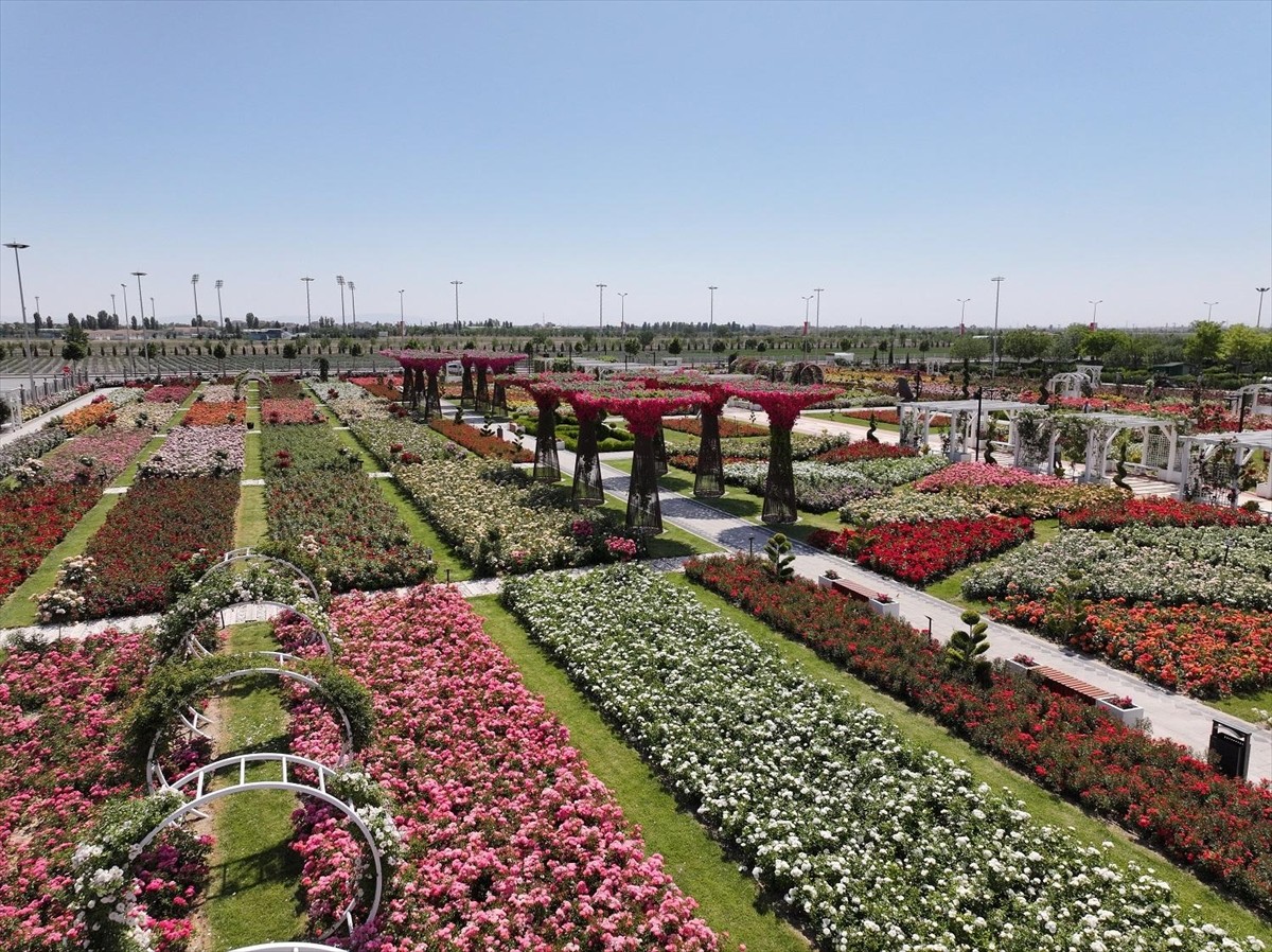 Konya'da 190 türde 50 bin gülün yer aldığı Karatay Mevlana Gül Parkı ziyaretçilerini...