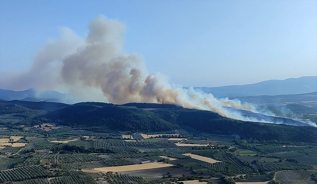 Manisa'nın Kırkağaç ilçesinde çıkan orman yangınına havadan ve karadan müdahale ediliyor.
