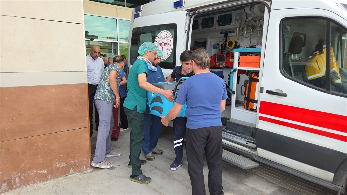 Niğde'de motosiklet kazası sonucu tedavi gördüğü hastanede beyin ölümü gerçekleşen 28 yaşındaki...