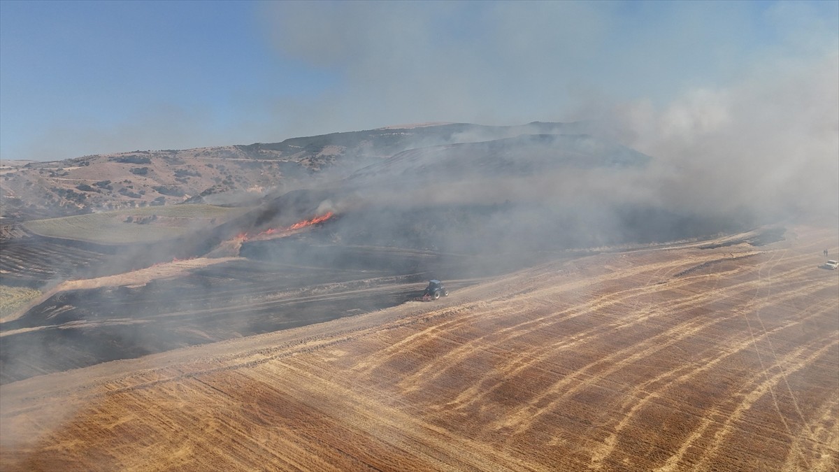 Amasya'nın Merzifon ilçesinde tarım arazisinde çıkan ve ormanlık alana sıçrayan yangın...