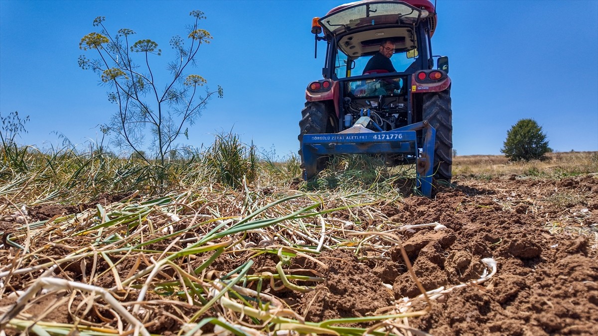 Avrupa Birliği'nden (AB) ve Türkiye'den coğrafi işaret tescili alan, aroması ve kalitesiyle dünya...