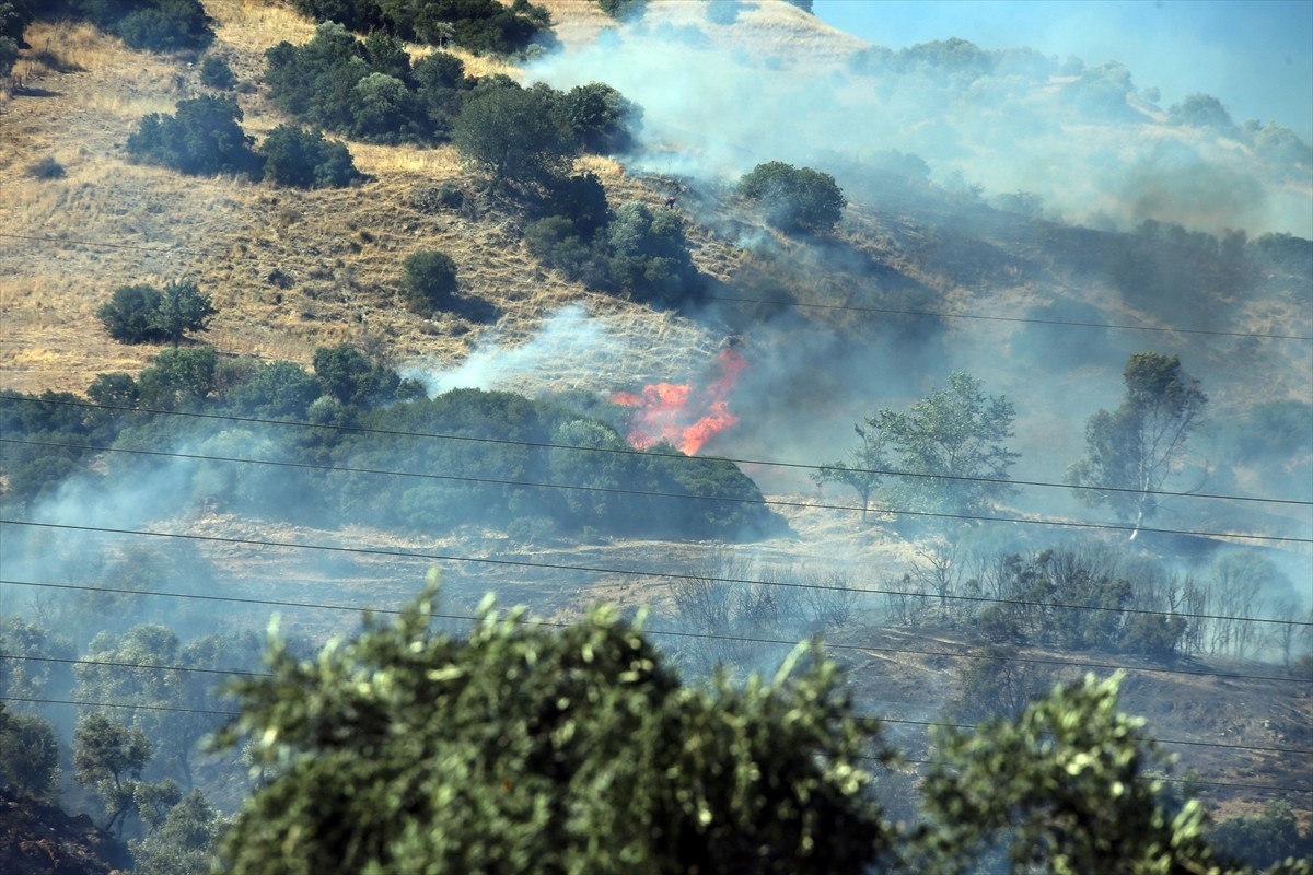Aydın'ın Efeler ilçesinde zeytinlik alanda çıkan yangın, havadan ve karadan müdahaleyle kontrol...
