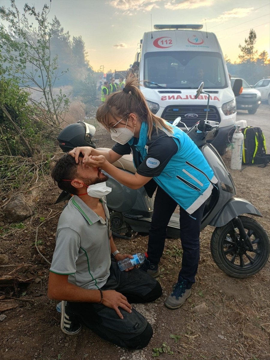 Bilecik'in Gölpazarı ve Osmaneli ilçeleri ile Vezirhan beldesinde çıkan orman yangınlarında 106...