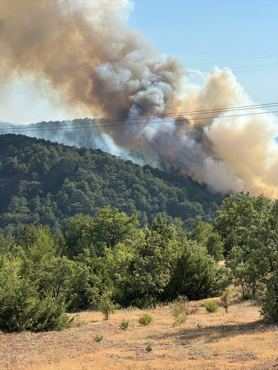 Bolu'nun Göynük ilçesinde, Karaardıç köyü yakınlarında çıkan orman yangınını söndürme çalışmaları...
