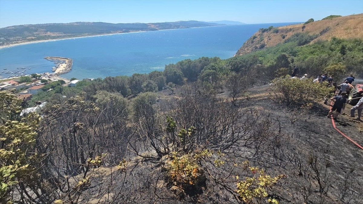 Bursa'nın Mudanya ilçesinde zeytinlikte çıkan yangın ekiplerin zamanında müdahalesiyle büyümeden...