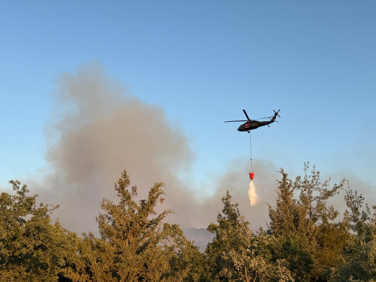 Bursa'nın Nilüfer ilçesinde çıkan orman yangınına havadan ve karadan müdahale ediliyor.