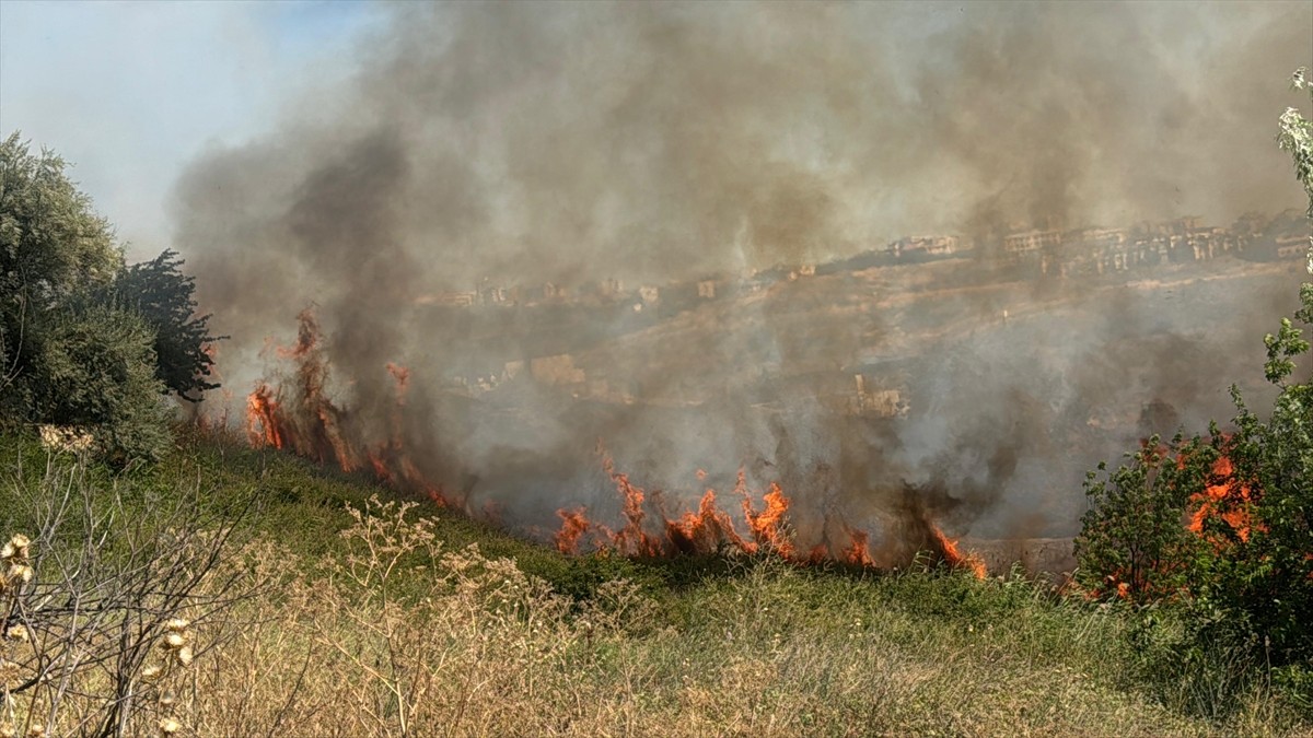 Büyükçekmece'de otluk alanda çıkan yangına itfaiye ekiplerince müdahale ediliyor. 