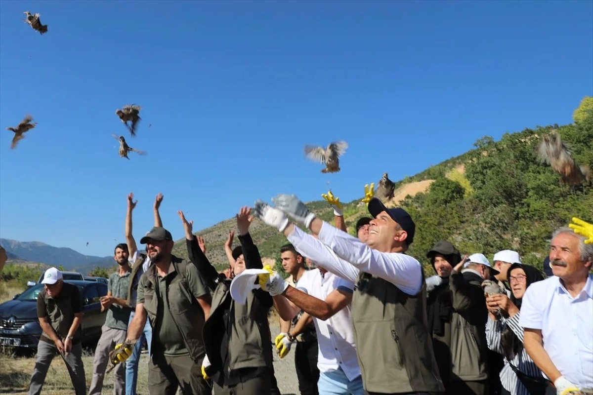 Çankırı'da yaban hayatının korunması ve doğal dengeyi desteklemek amacıyla doğaya 600 kınalı...