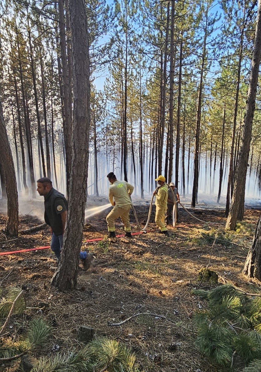 Çankırı'nın Ilgaz ilçesindeki ormanlık alanda çıkan yangın kontrol altına alındı.