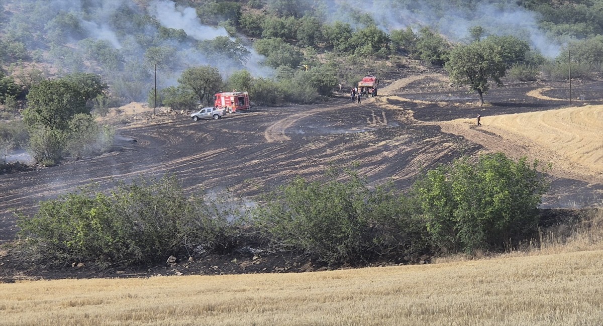 Çorum'un Bayat ilçesinde ormanlık alana sıçrayan anız yangını söndürüldü.