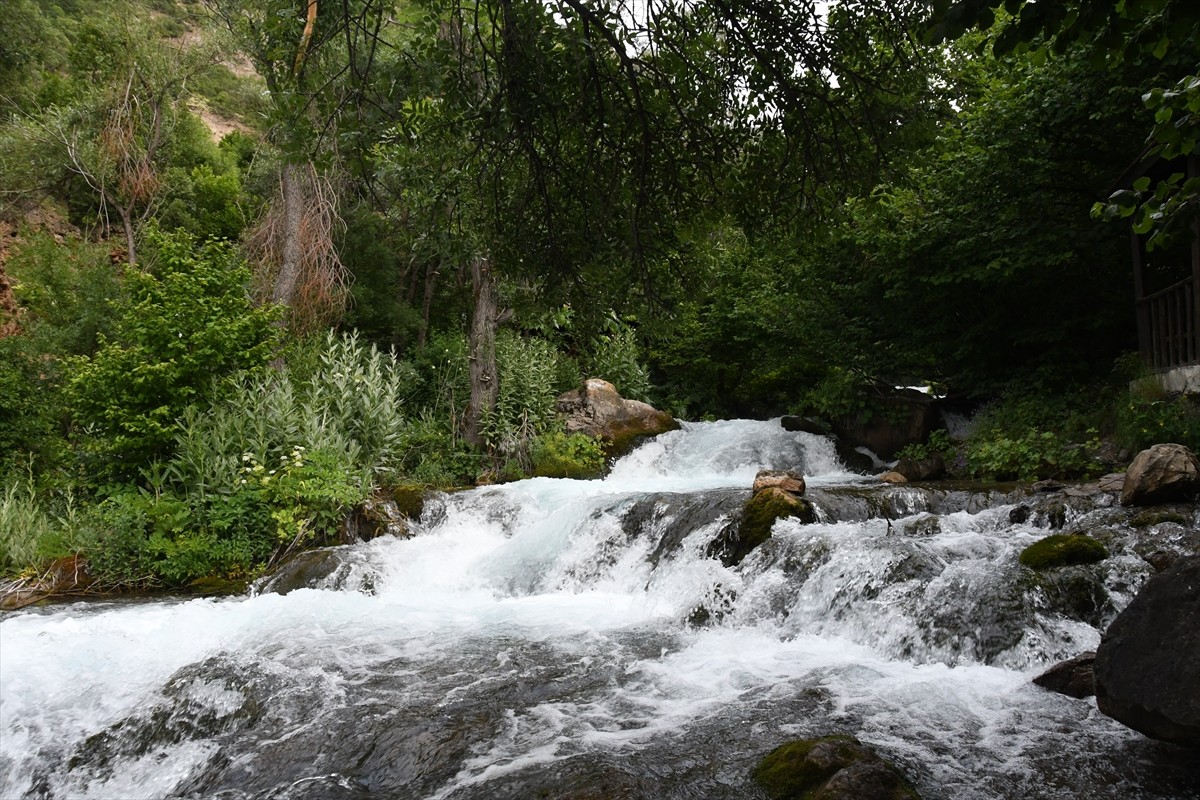 Doğu Karadeniz'in önemli turizm destinasyonlarından Tomara Şelalesi, ziyaretçilerine doğa ile iç...