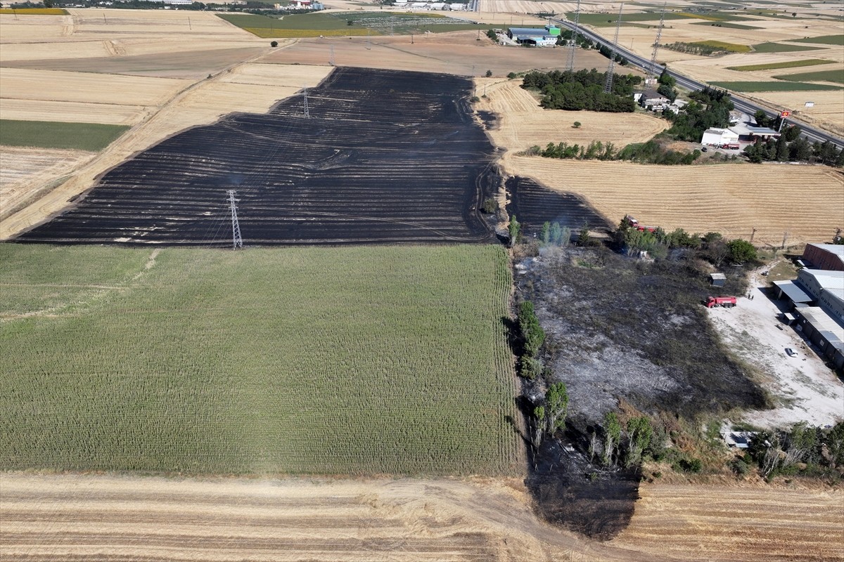 Edirne'de buğday tarlasında çıkan yangın itfaiye ekiplerince söndürüldü.