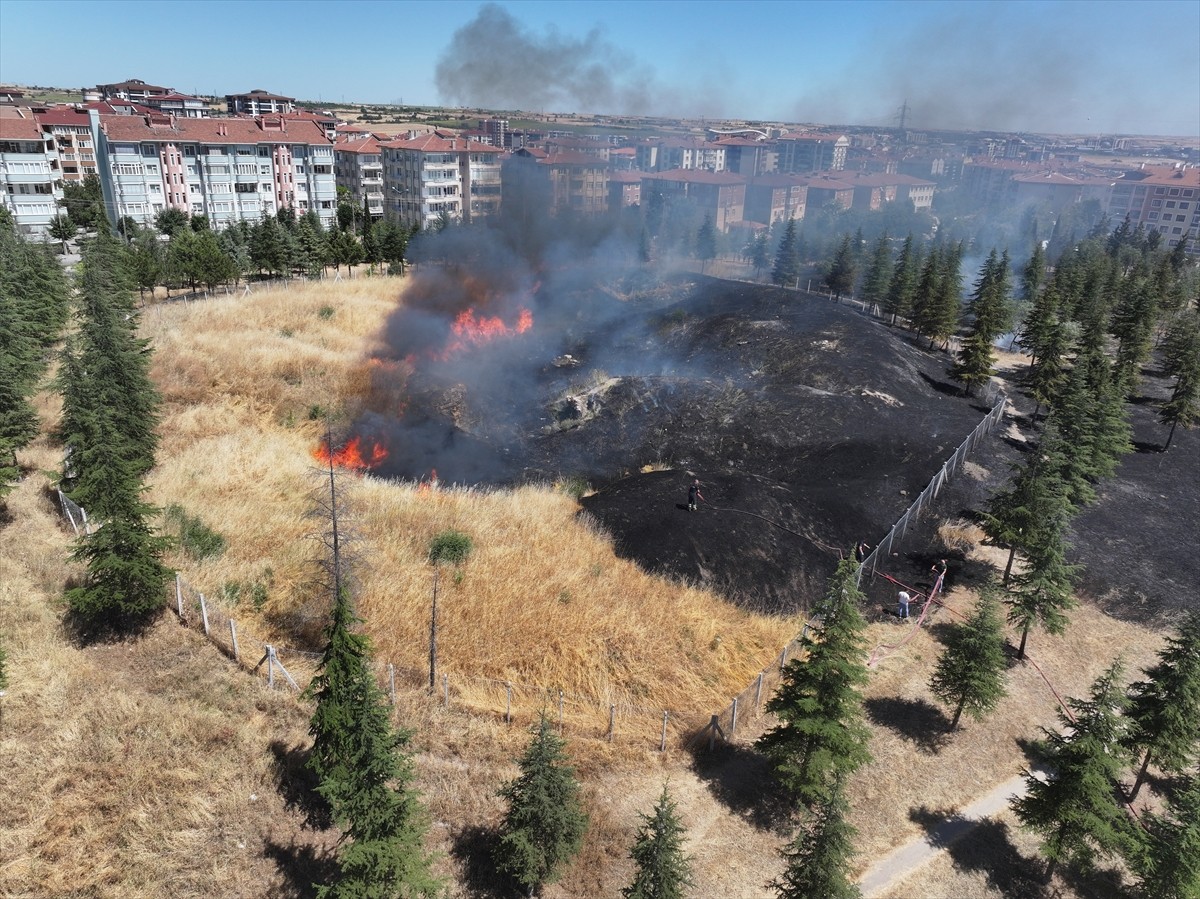 Edirne'deki Kavgaz Tabya'nın bulunduğu bölgede otluk alanda çıkan yangın söndürüldü.