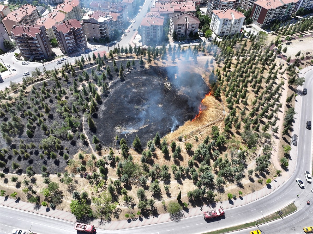 Edirne'deki Kavgaz Tabya'nın bulunduğu bölgede otluk alanda çıkan yangın söndürüldü.