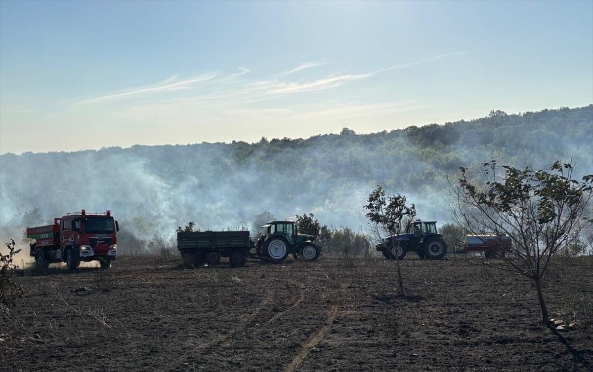 Edirne'nin Lalapaşa ilçesinde buğday hasadı esnasında biçerdöverde başlayıp ormanlık alana...