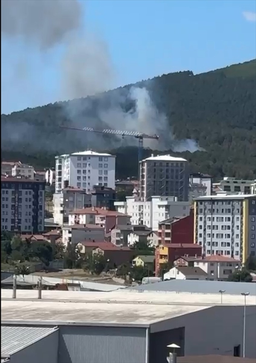 İstanbul'da Aydos Ormanı'nda Pendik ilçesindeki sınırlarında yer alan bölgesinde henüz...