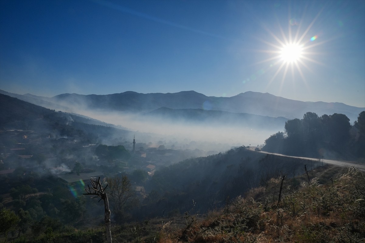 İzmir'in Ödemiş ilçesindeki ormanlık alanda çıkan yangına havadan ve karadan müdahale...