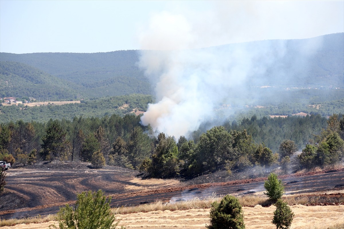 Kastamonu'nun Taşköprü ilçesinde tarım arazisinde başlayıp ormana sıçrayan yangına müdahale...