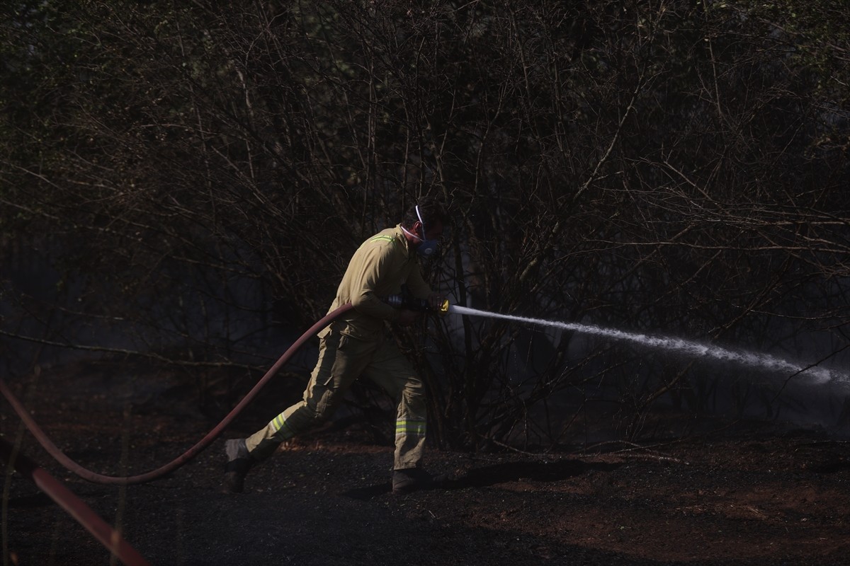 Kırklareli'nin Yündalan köyünde anızdan başlayıp ormana sıçrayan yangına müdahale...