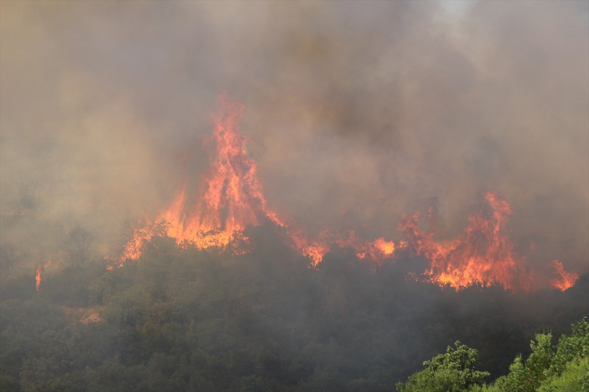 Kocaeli'nin Derince ilçesinde makilik ve ağaçlık alanda çıkan yangını söndürme çalışmaları...