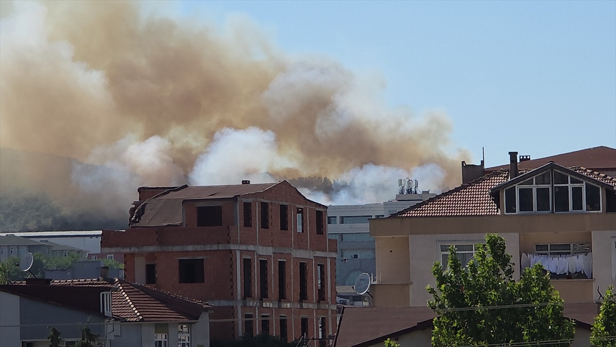Kocaeli'nin Gebze ilçesinde ağaçlık alanda çıkan yangını söndürmek için çalışma...