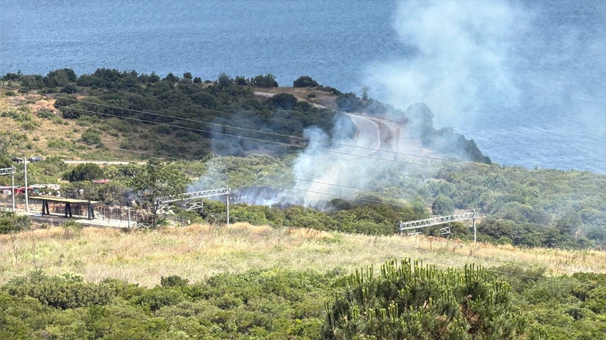 Kocaeli'nin Gebze ilçesinde makilikte çıkan yangın kontrol altına alındı.