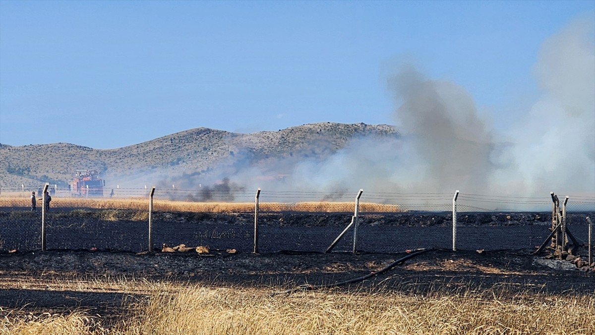 Kütahya'nın Altıntaş ilçesinde yangın çıkan yaklaşık 800 dekar hububat ekili alan zarar...