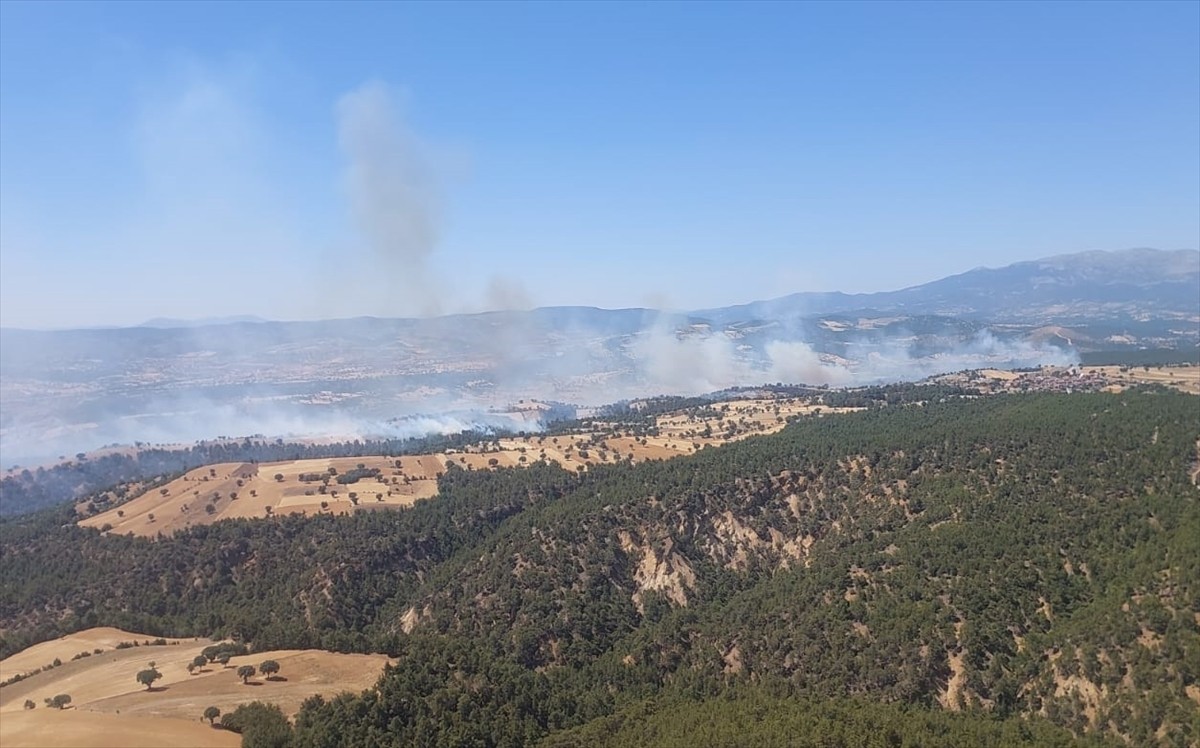 Kütahya'nın Gediz ilçesinde çıkan orman yangınına havadan ve karadan müdahale ediliyor.