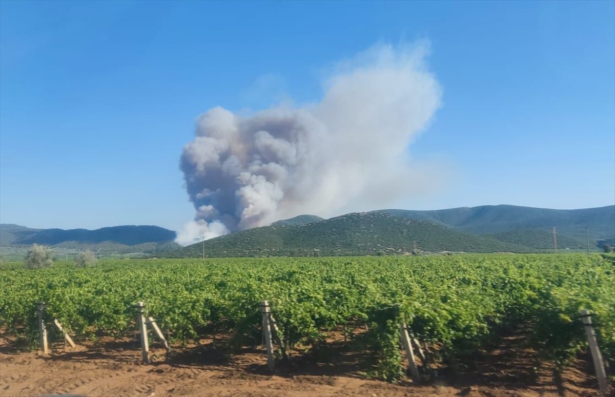 Manisa'nın Saruhanlı ilçesinde çıkan orman yangınına ekipler havadan ve karadan müdahale...