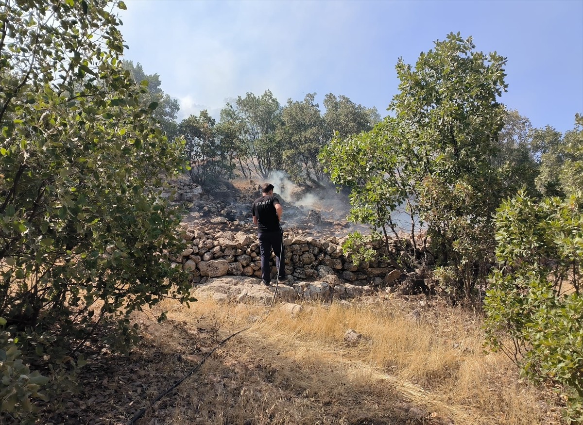 Mardin'in Ömerli ilçesinde ormanlık alanda çıkan yangın, kontrol altına alındı.
