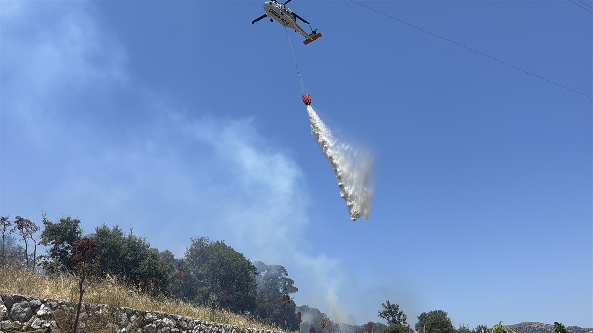 Muğla'nın Bodrum ilçesinde tarım arazisi ve otluk alanda çıkan yangın söndürüldü.