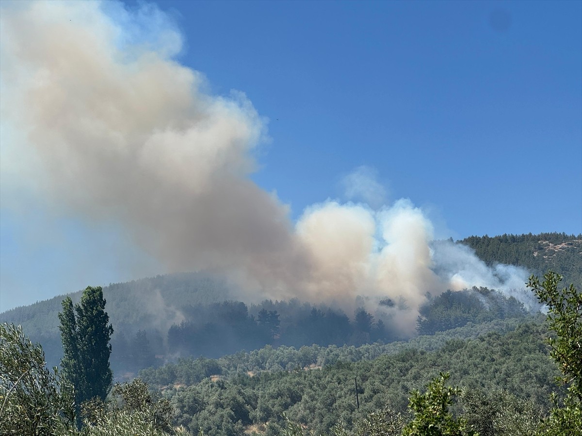 Muğla'nın Menteşe ilçesinde çıkan orman yangını, havadan ve karadan müdahaleyle kontrol altına...