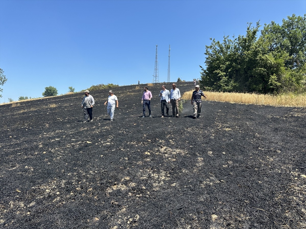 Samsun'un Alaçam ilçesinde çıkan yangında 50 dönüm tarım arazisinde zarar oluştu.
