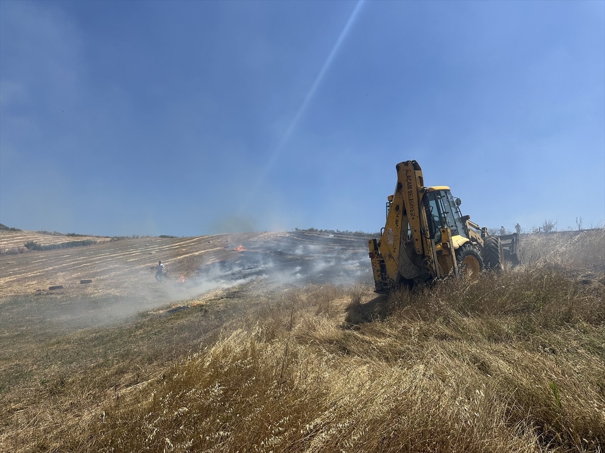 Samsun'un Alaçam ilçesinde çıkan yangında 50 dönüm tarım arazisinde zarar oluştu.