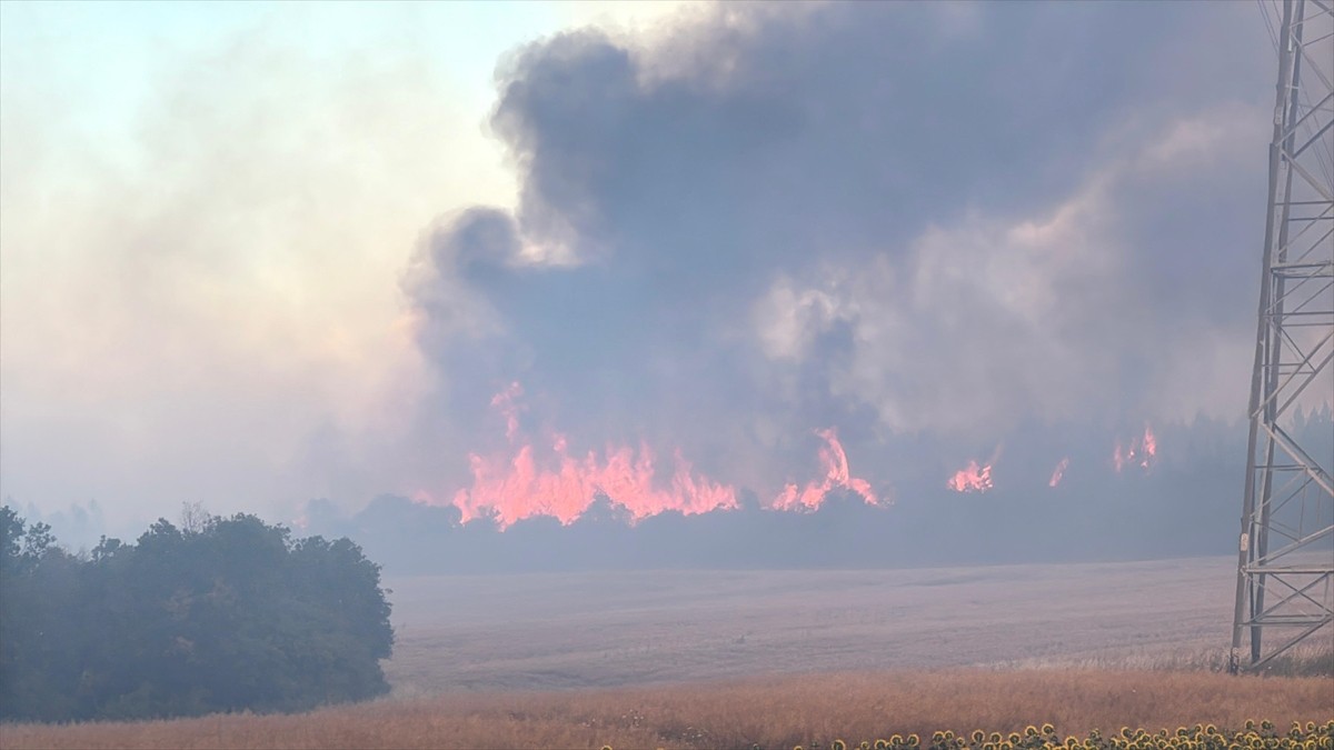 Silivri'de, ormanlık alanda çıkan yangına itfaiye ekipleri müdahale ediyor.