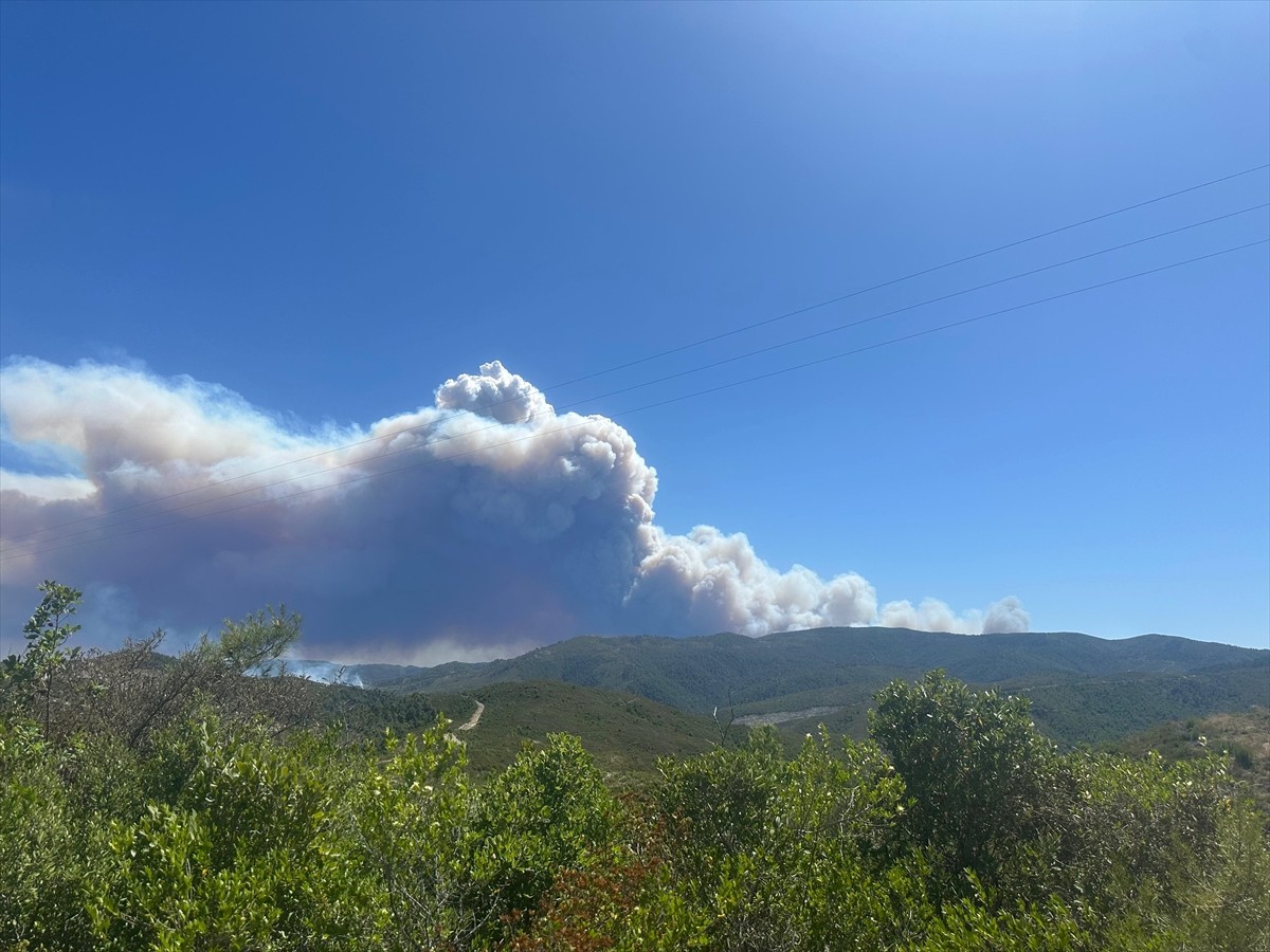 Suriye'nin Lazkiye ilinin Bayırbucak bölgesinde birden fazla köyde orman yangını çıktı. Devam eden...