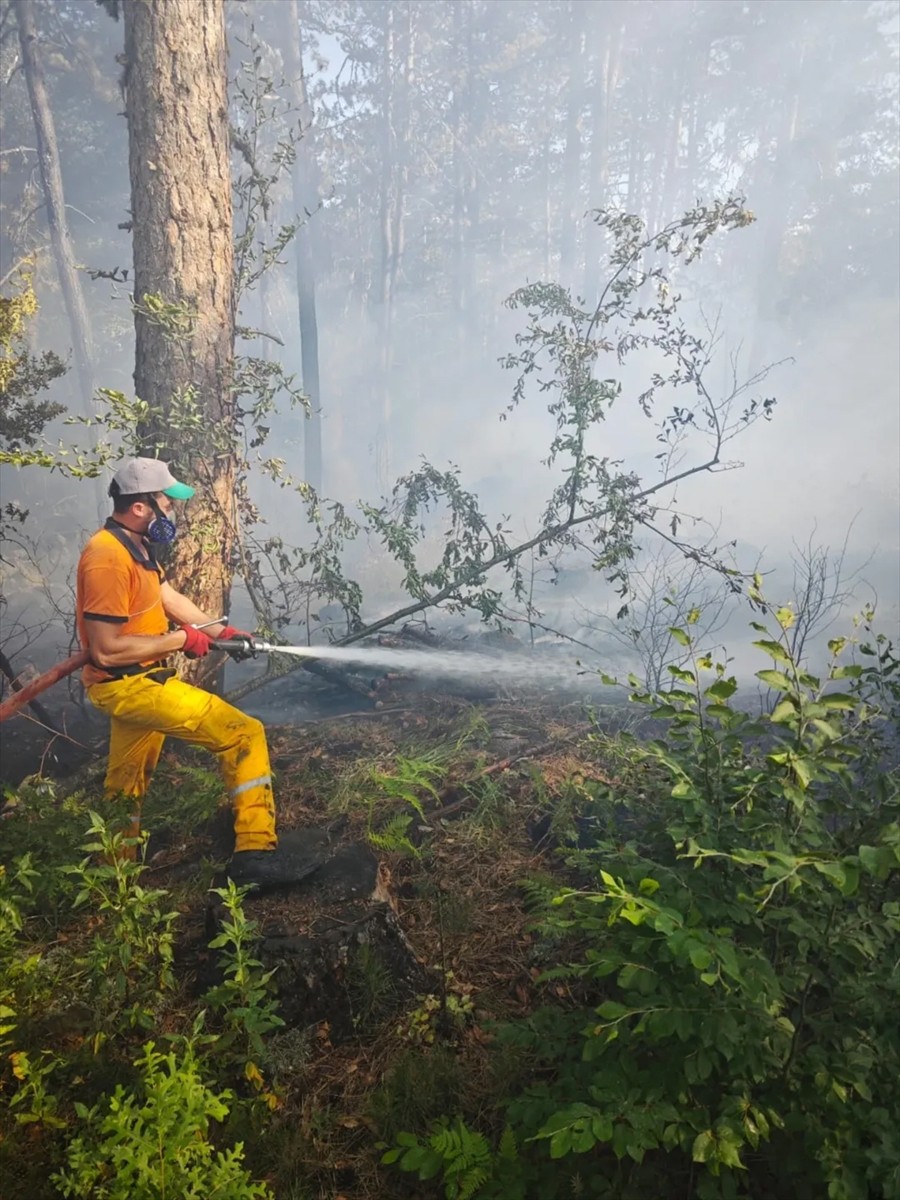 Uludağ'da çıkan yangın, havadan ve karadan müdahaleyle kontrol altına alındı.